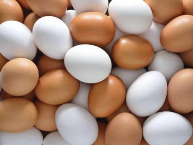 ارتفاع أسعار البيض اليوم السبت 23-7-2022 للمستهلك