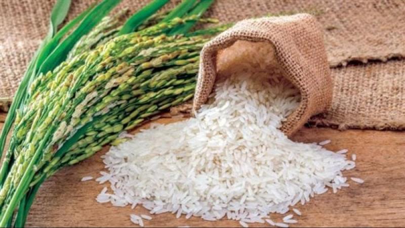 الدول تمنع تصدير الأرز ...اعرف السبب