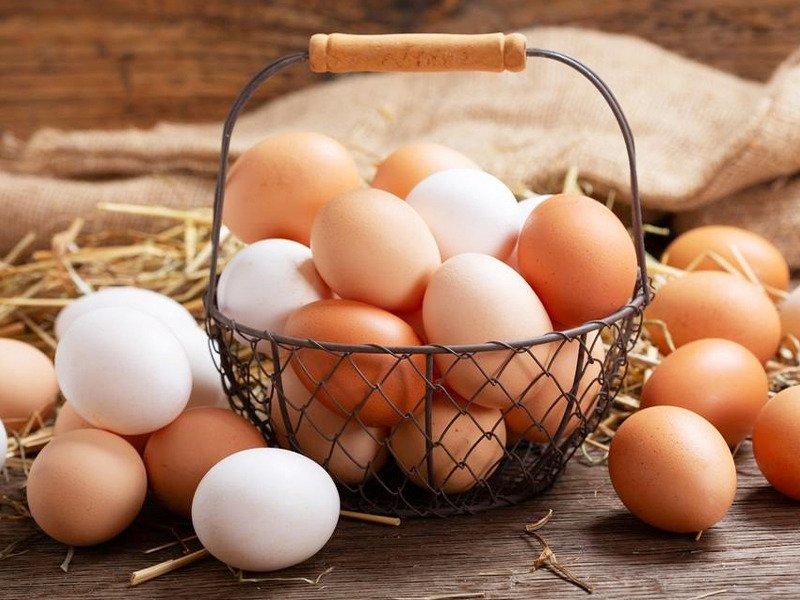 أسعار البيض اليوم الجمعة  10-11-2023 للمستهلك