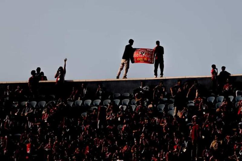 جماهير الأهلي 